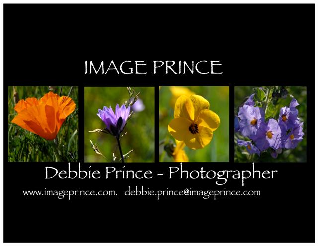 Contact details